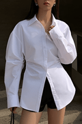Long Sleeve Blouse For Women With Tailored Fit, Defined Waist, And Classic Collar