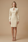 Figure-Hugging Mini Dress For Women With High Neck Cutout And Puff Long Sleeve Silhouette