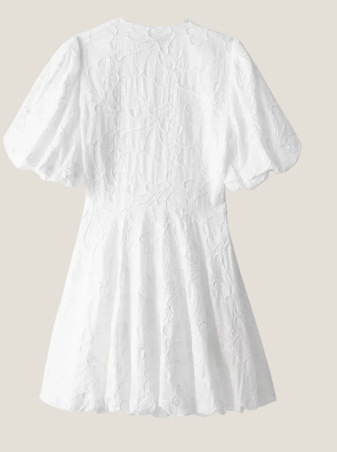 Embroidered Puff Sleeve Petite Dress With Deep V-Neck And Scalloped Hem For Women